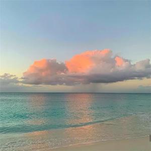 成人AV毛片无码免费网站
