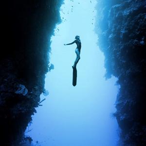 成人AV毛片无码免费网站
